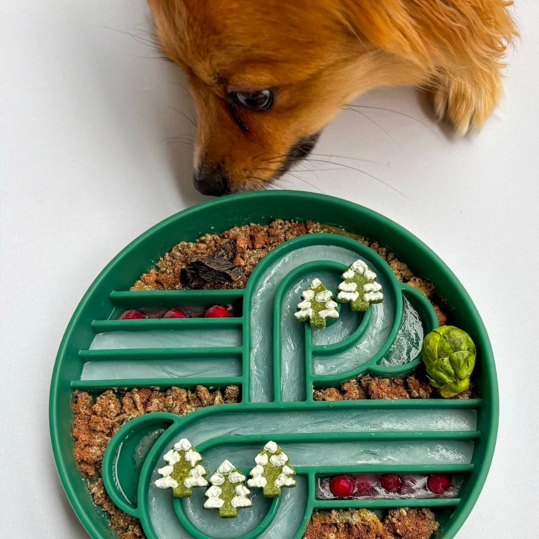 zoomies slow feeder bowl | zucchini