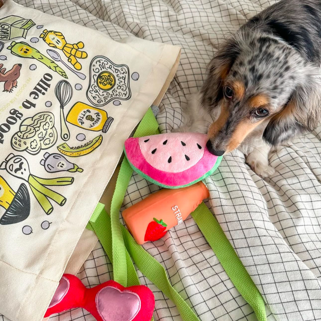 squeaker toy | berry fizz