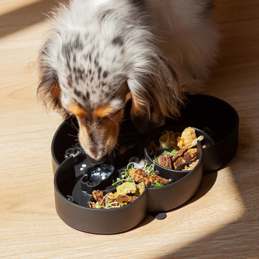 cloud slow feeder bowl | blackberry