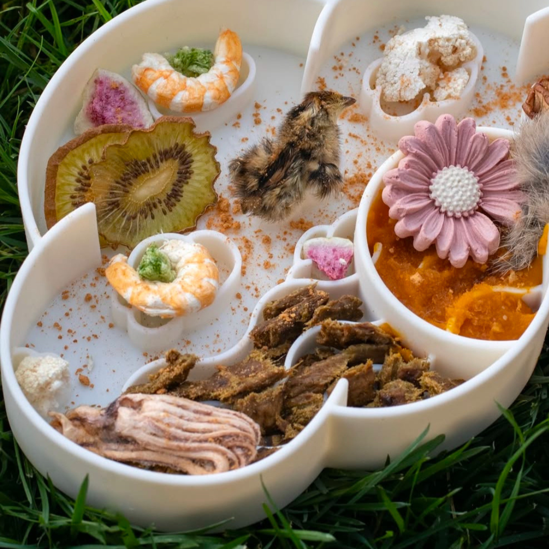 cloud slow feeder bowl | coconut