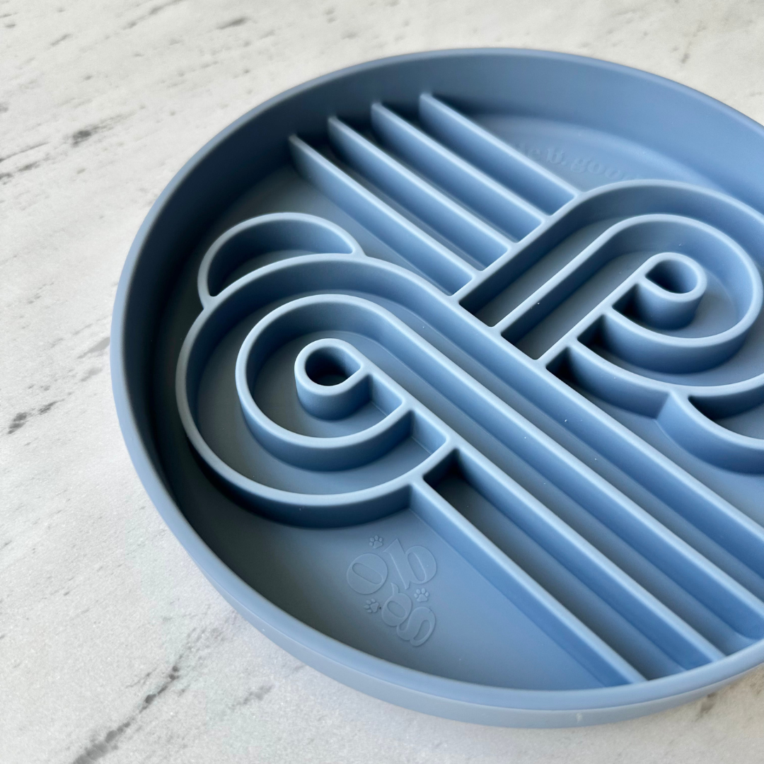 zoomies slow feeder bowl | spirulina