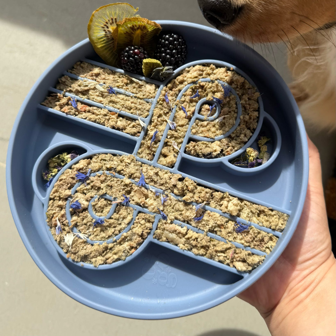 zoomies slow feeder bowl | spirulina