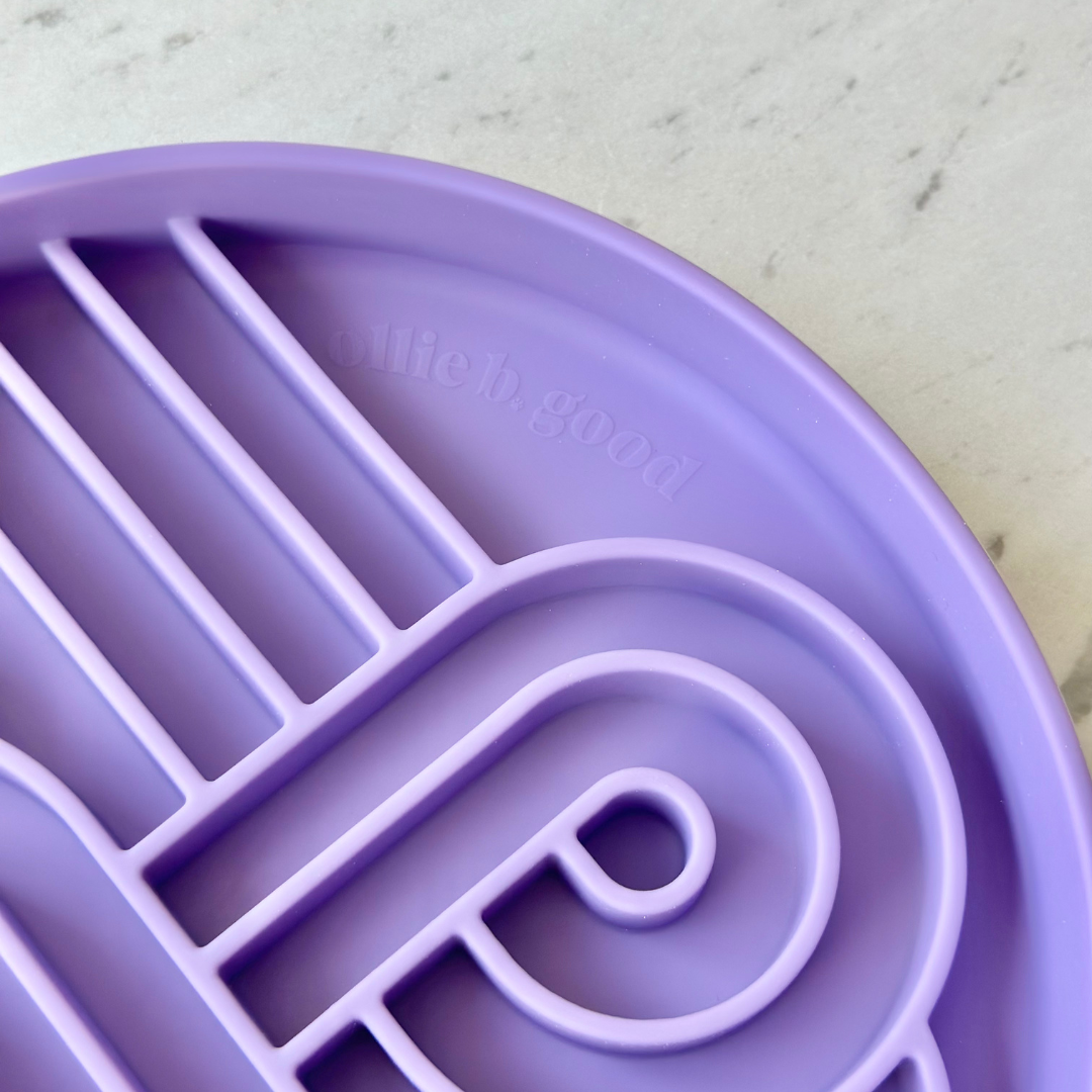 zoomies slow feeder bowl | eggplant