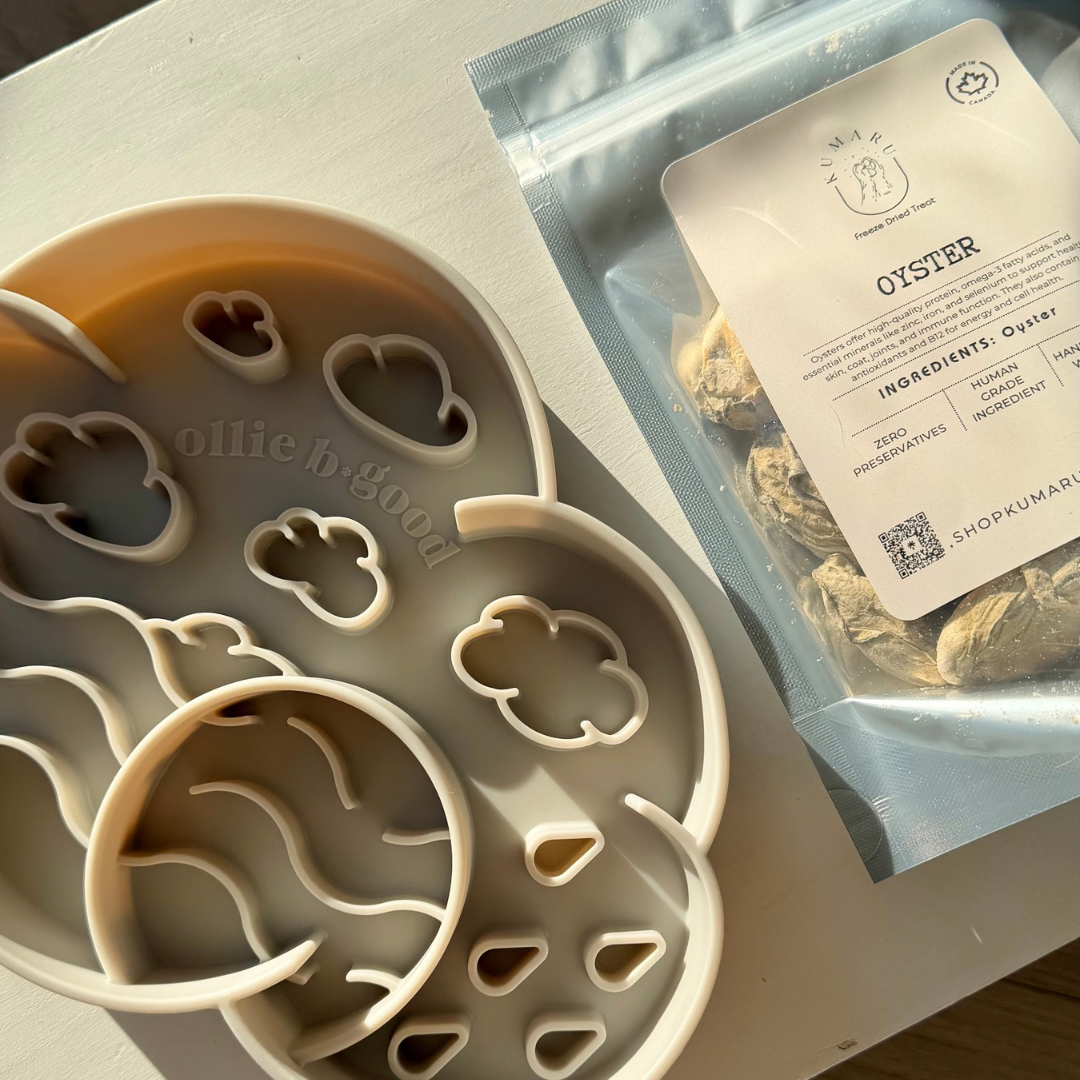 oyster cloud feeder + treat bundle | ollie b. good x kumaru & co. *SHIPS JAN 30*