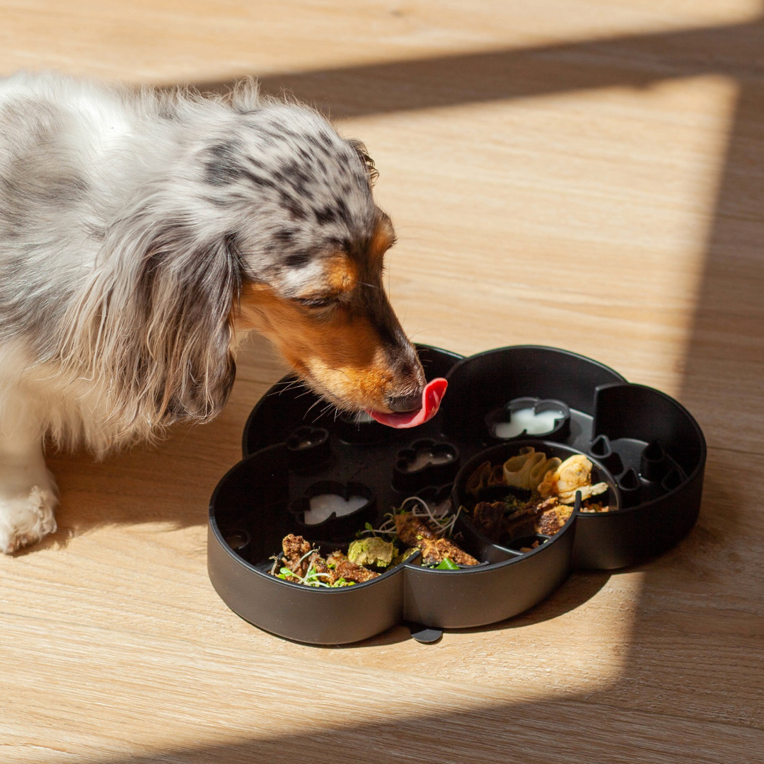 cloud slow feeder bowl | blackberry