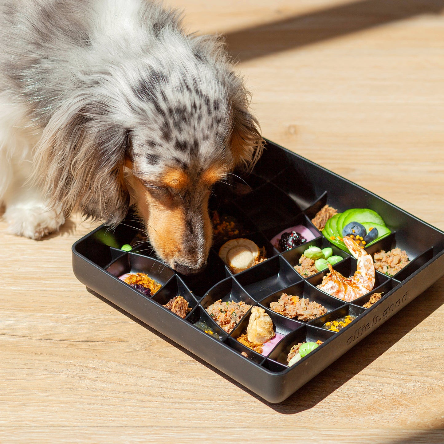 wavies slow feeder bowl | blackberry