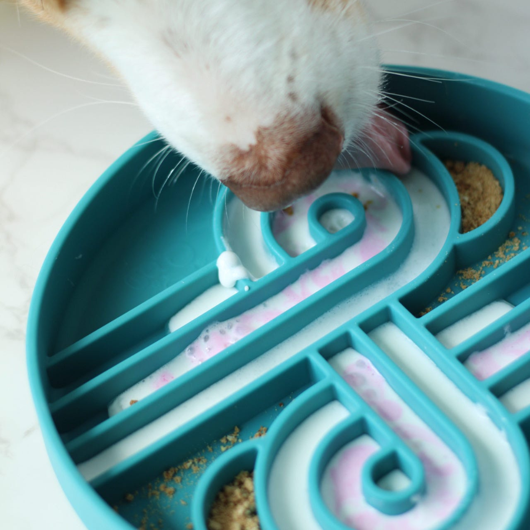 zoomies slow feeder bowl | kelp