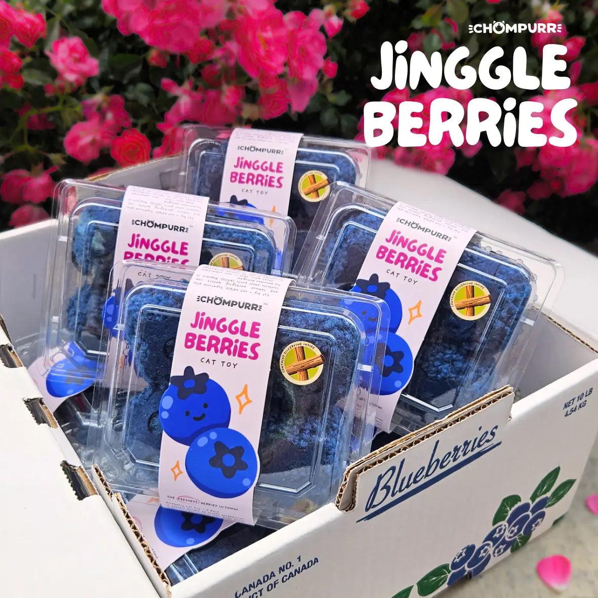 jinggle berries | chompurr