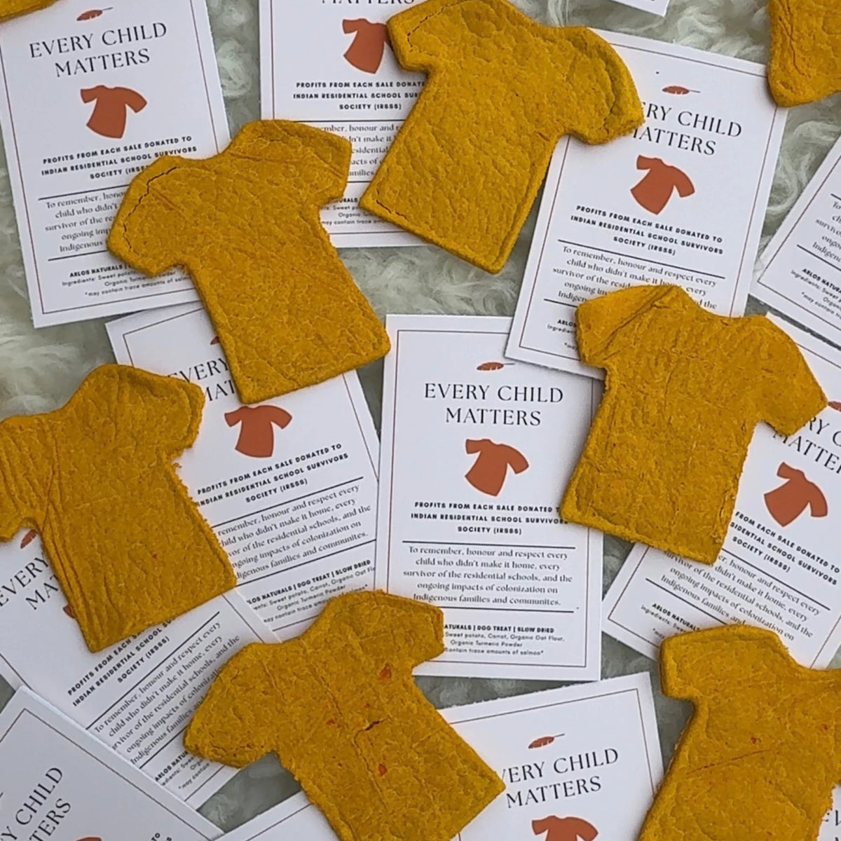 orange tee-shirt cookies (100% profits donated) | arlos naturals