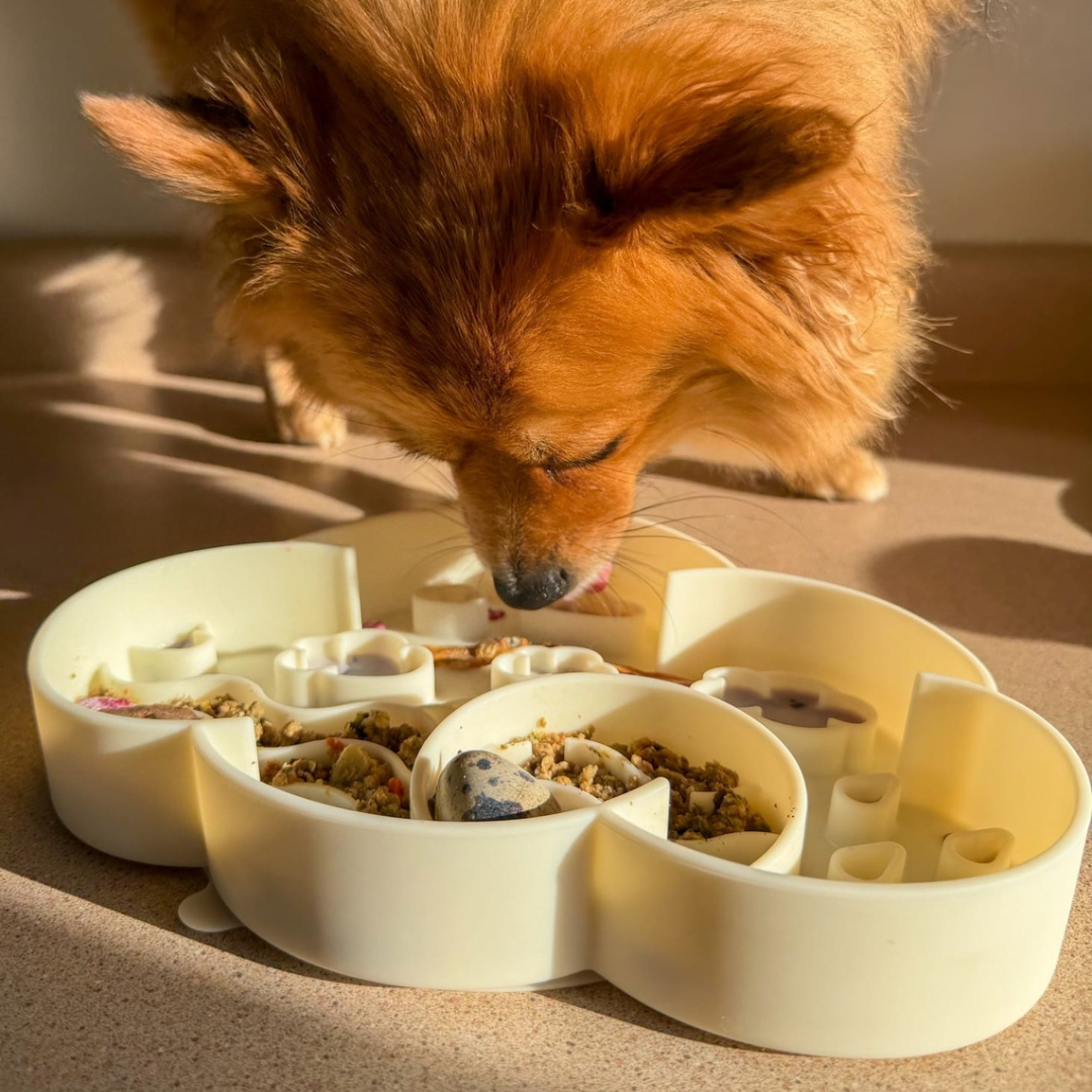 cloud slow feeder bowl | coconut