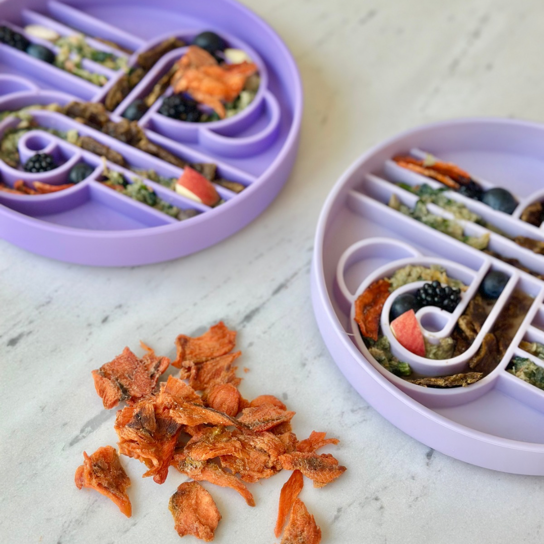 zoomies slow feeder bowl | eggplant