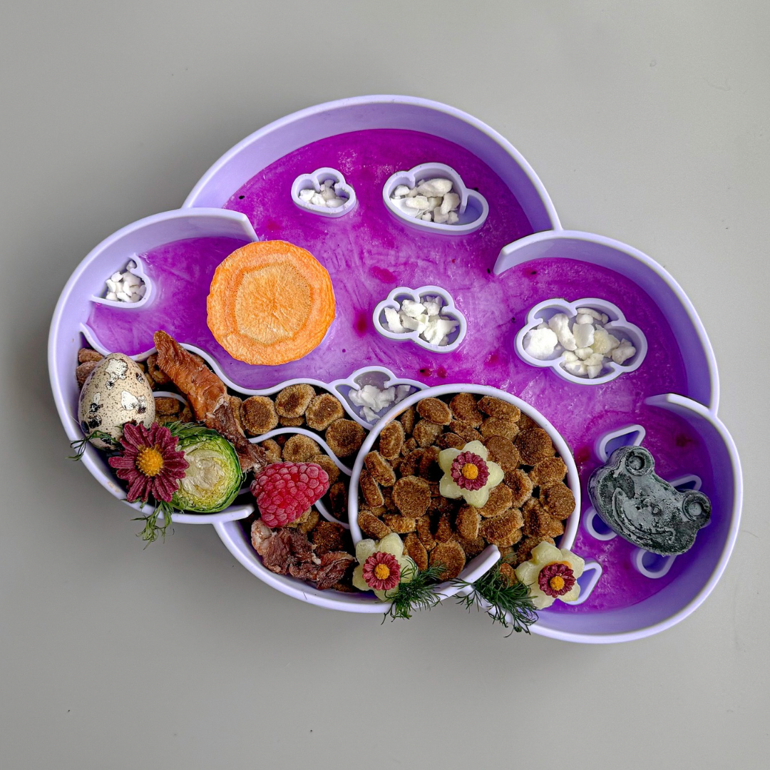 cloud slow feeder bowl | viola