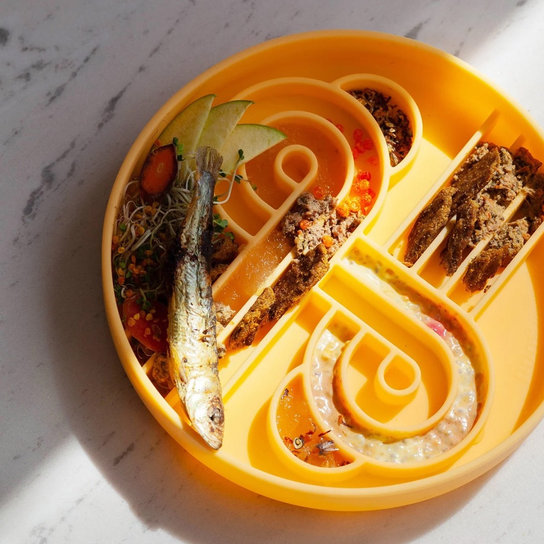 zoomies slow feeder bowl | mango