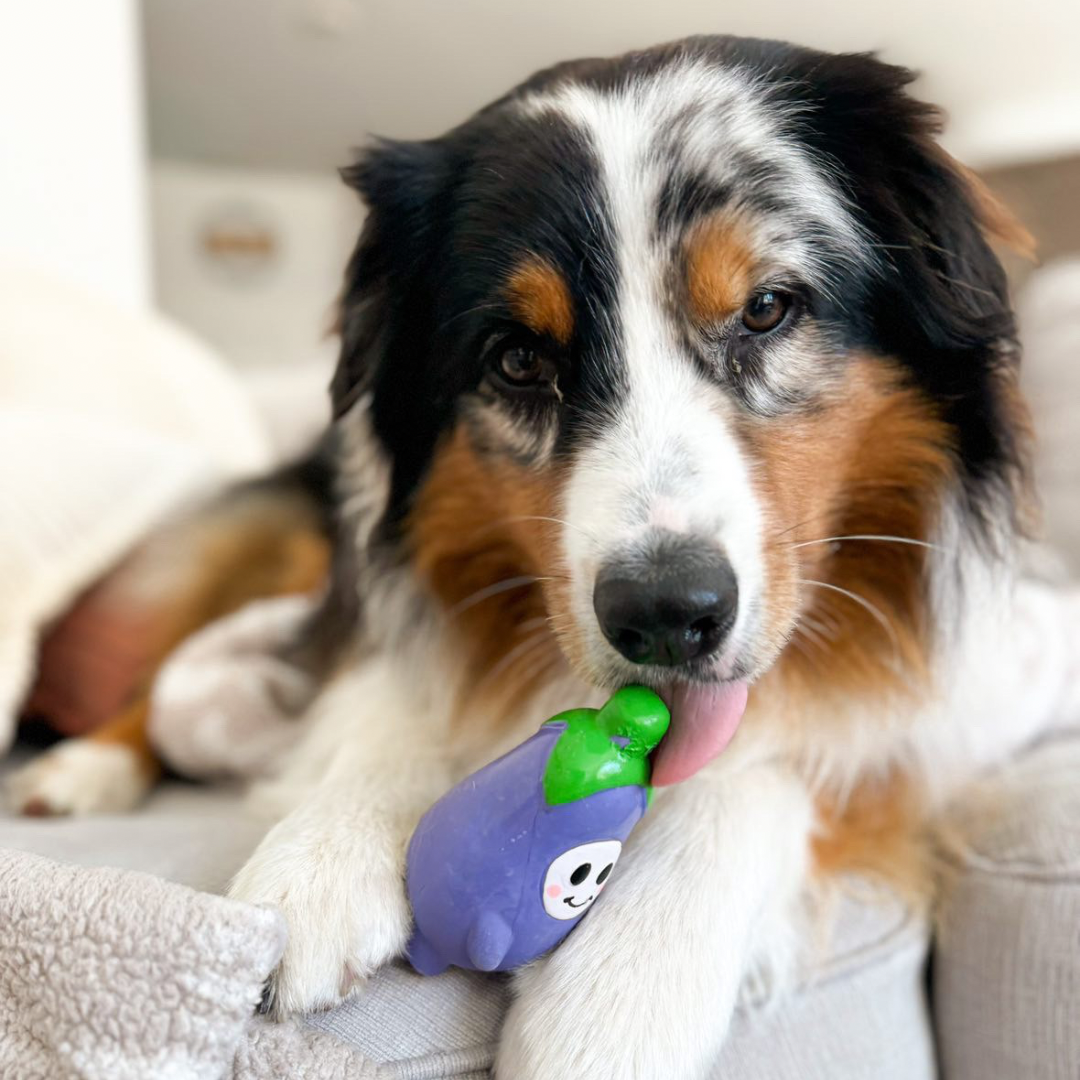 veggie squeaker toy | eggplant