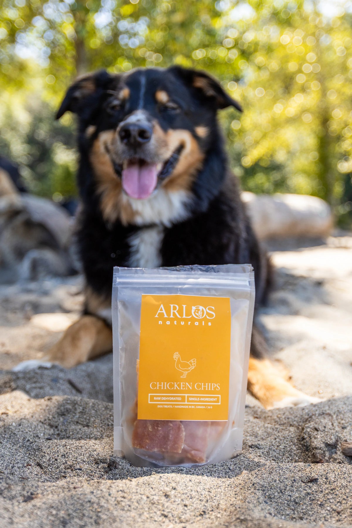 dehydrated chicken chips | arlos naturals