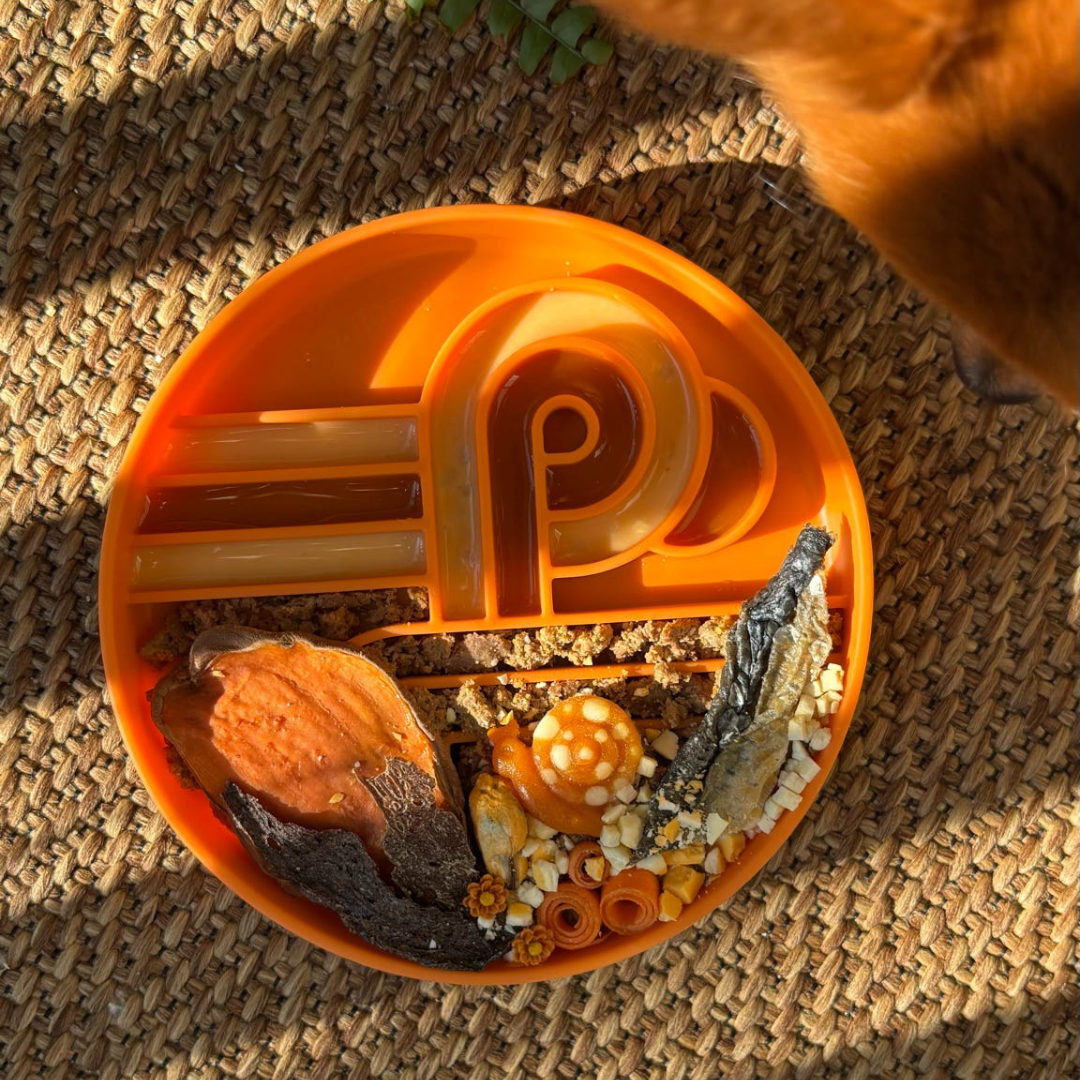 zoomies slow feeder bowl | pumpkin