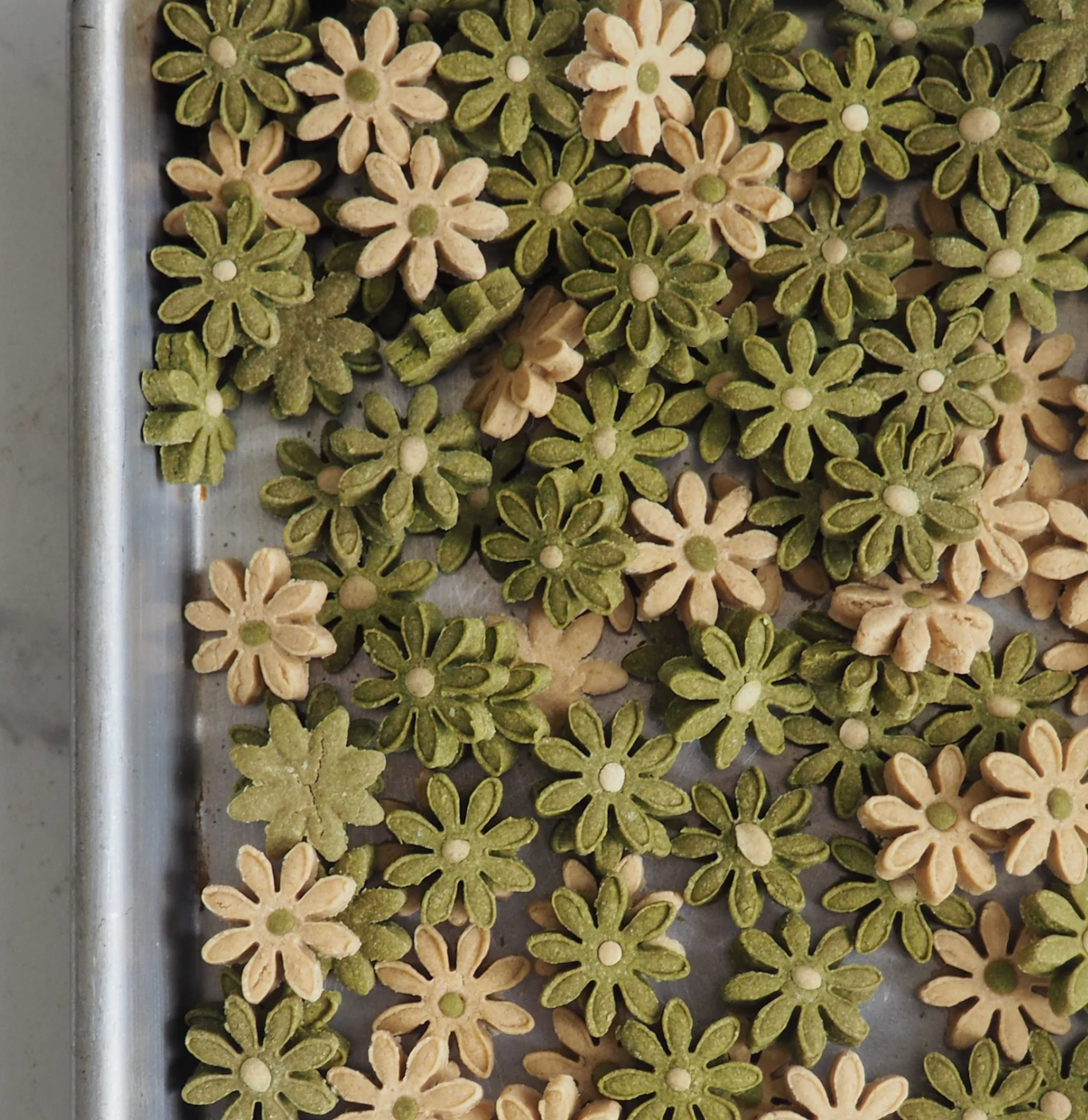 little daisies | community treats