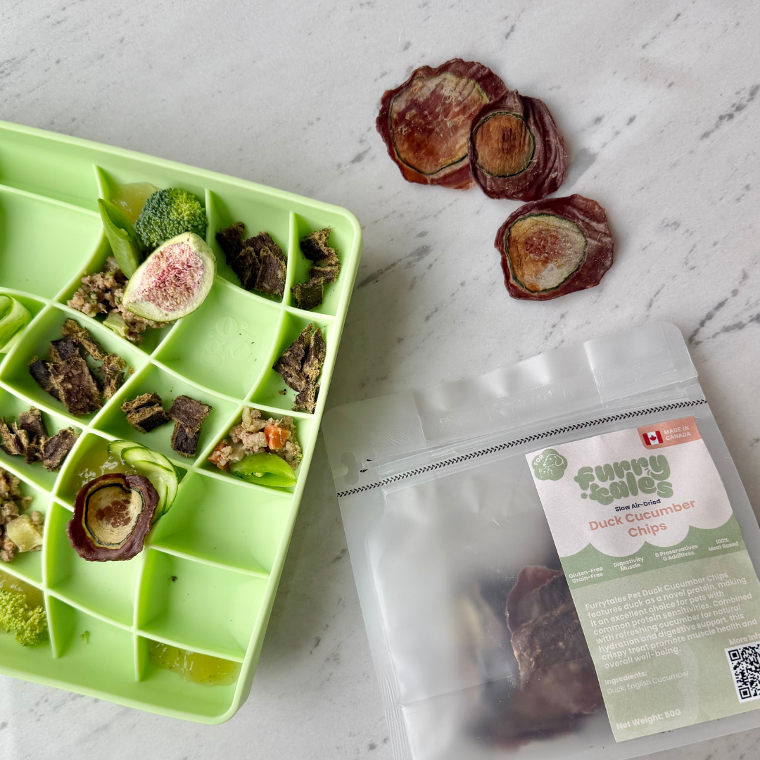 duck cucumber chips | furrytales