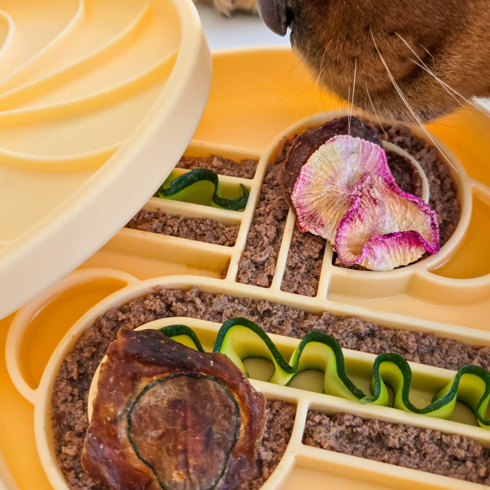 wheelies lick mat & lid | clementine