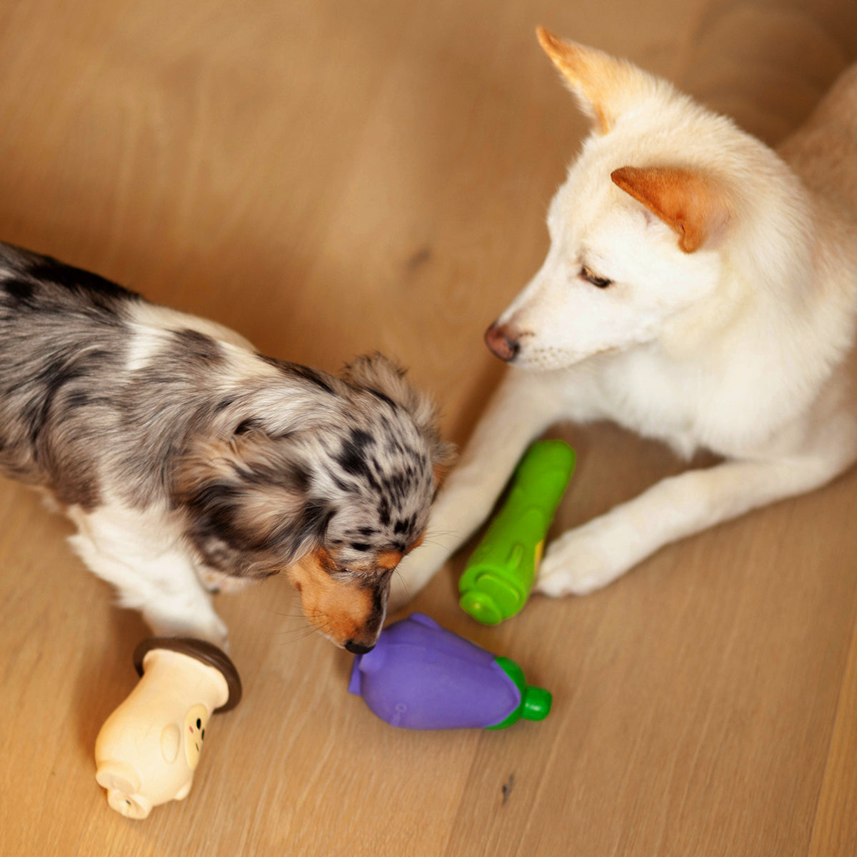 veggie squeaker toy | eggplant