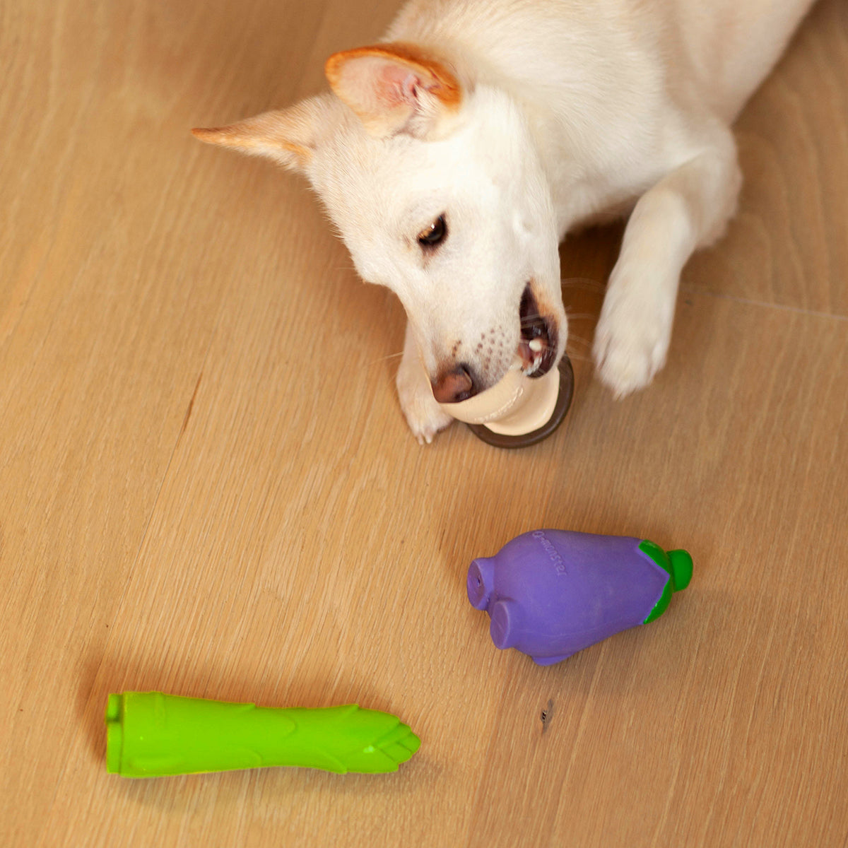 veggie squeaker toy | mushroom
