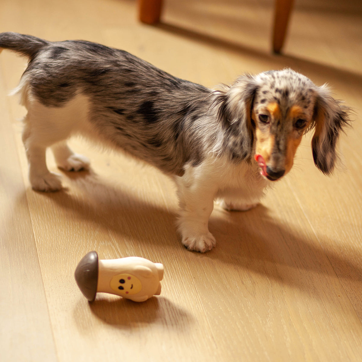 veggie squeaker toy | mushroom