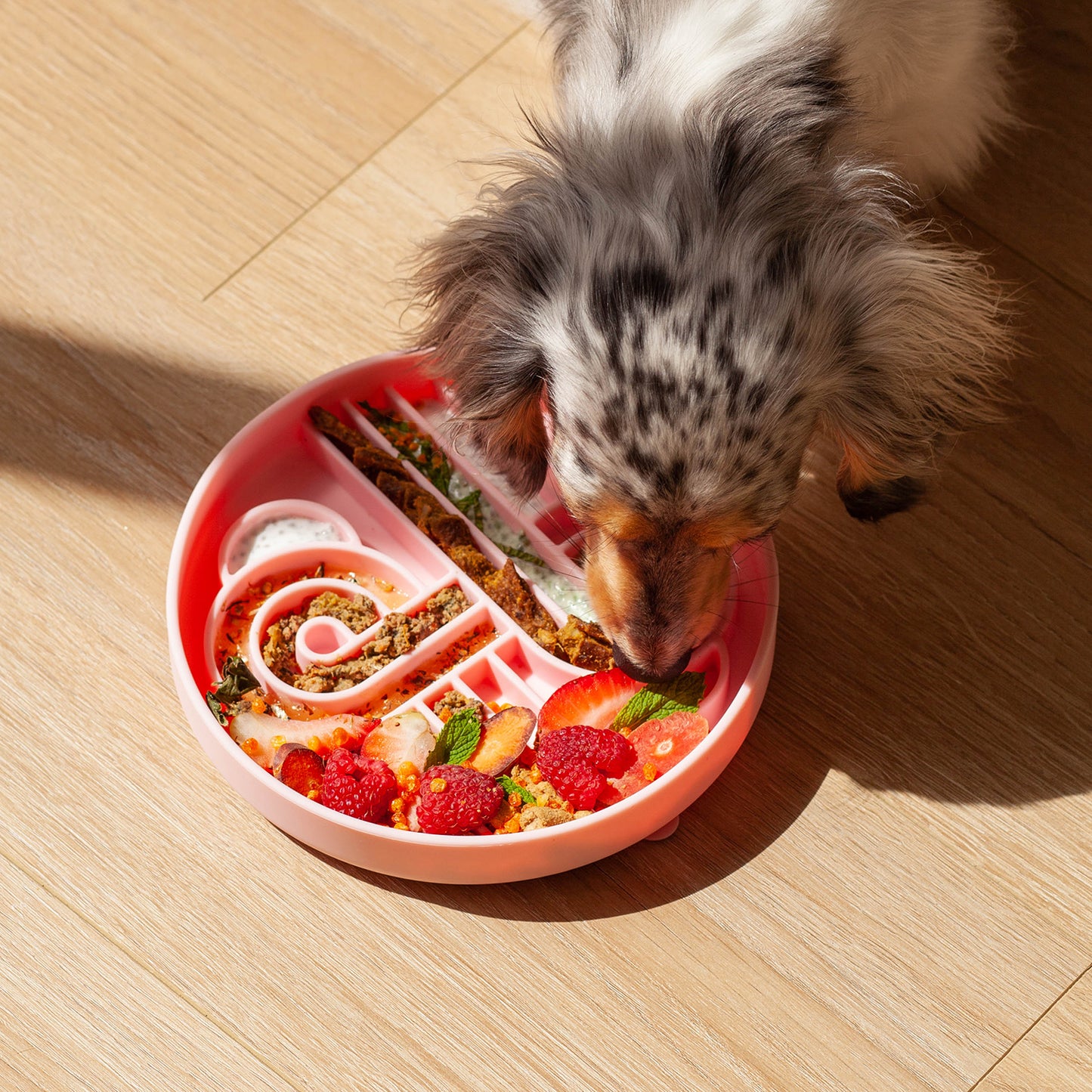 zoomies slow feeder bowl | strawberry