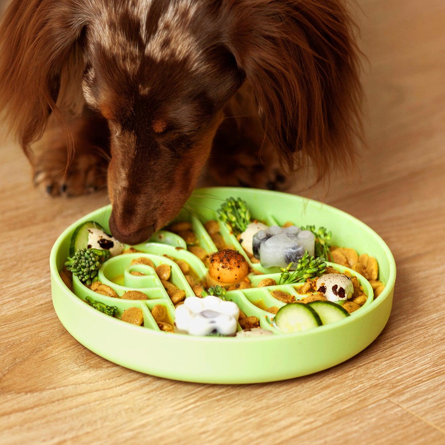 zoomies slow feeder bowl | honeydew