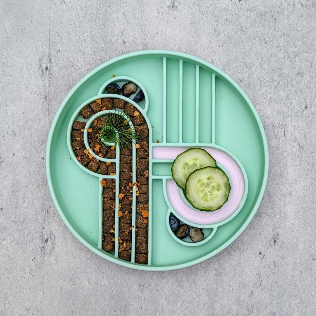 zoomies slow feeder bowl | cucumber melon