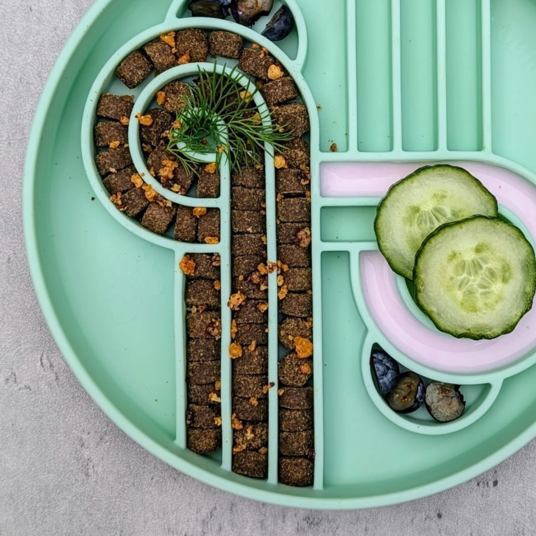 zoomies slow feeder bowl | cucumber melon