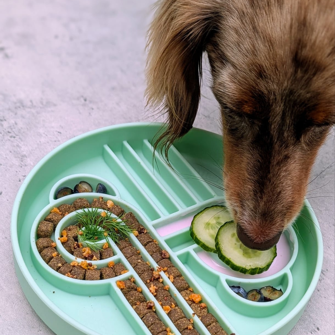 zoomies slow feeder bowl | cucumber melon