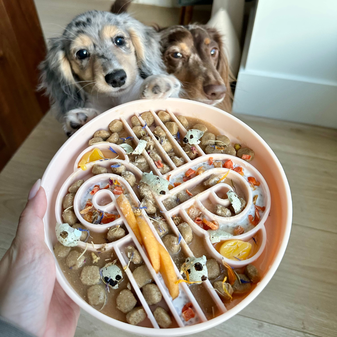 zoomies slow feeder bowl | peach