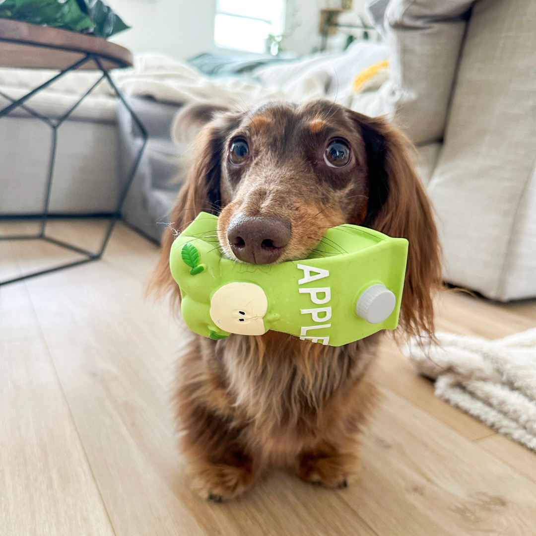 squeaker toy | bon apple tea