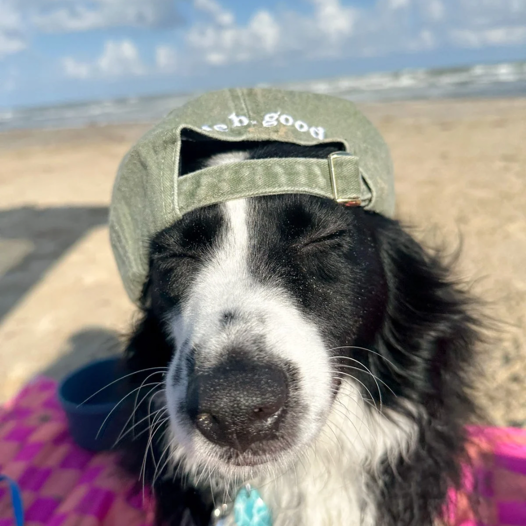 OBG sunnies cap - matcha