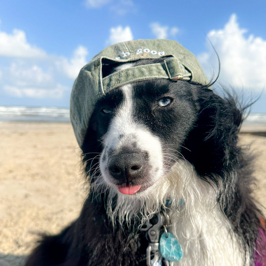 OBG sunnies cap - matcha