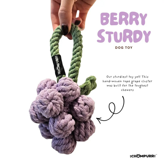 berry sturdy rope toy | chompurr