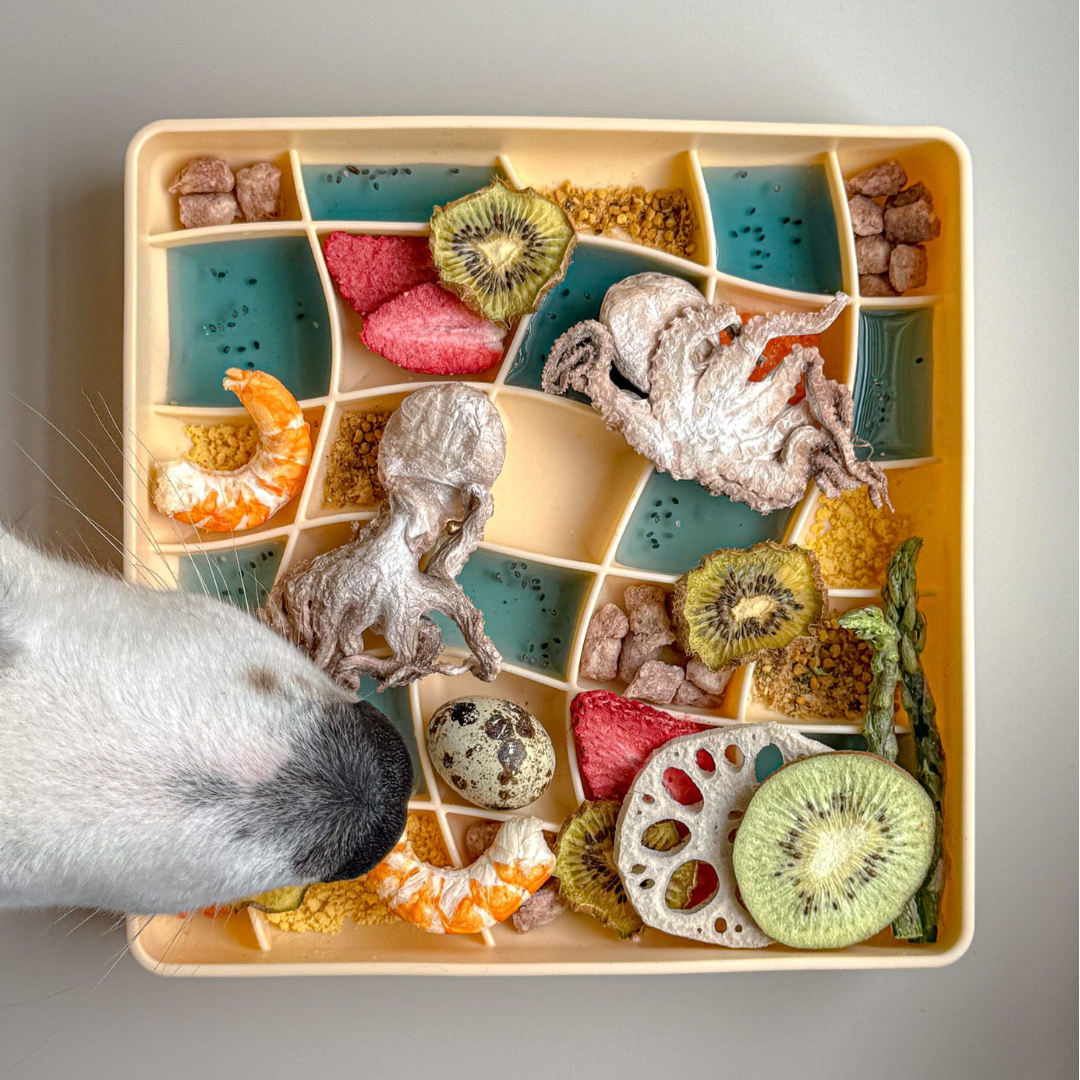wavies slow feeder bowl | clementine