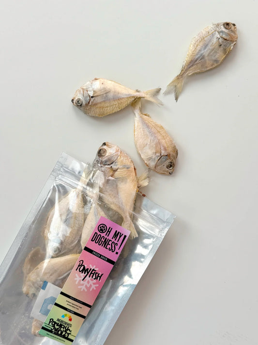 freeze-dried pony fish | oh my dogness