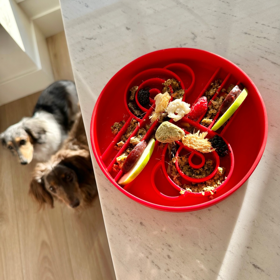 zoomies slow feeder bowl | cherry