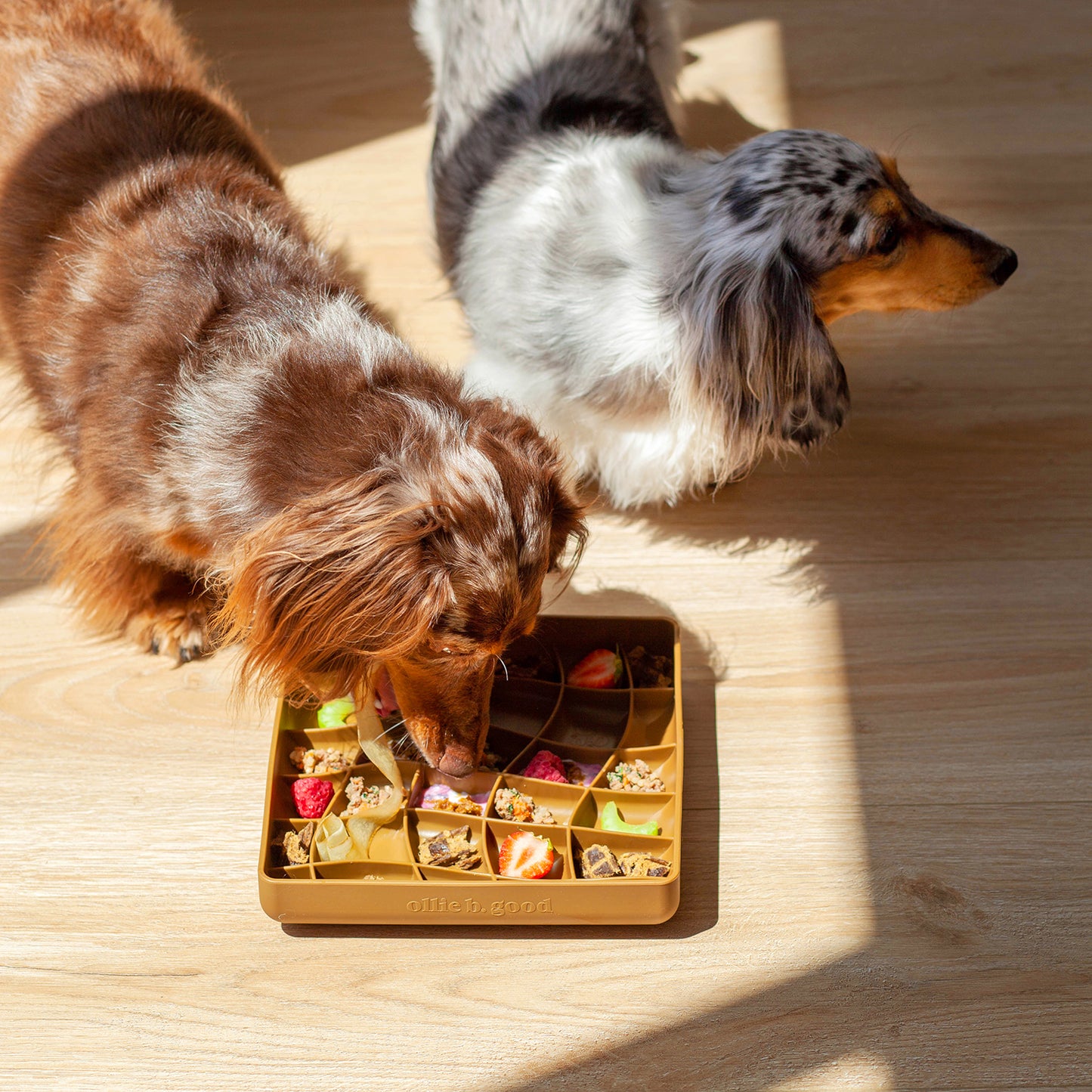 wavies slow feeder bowl | carob