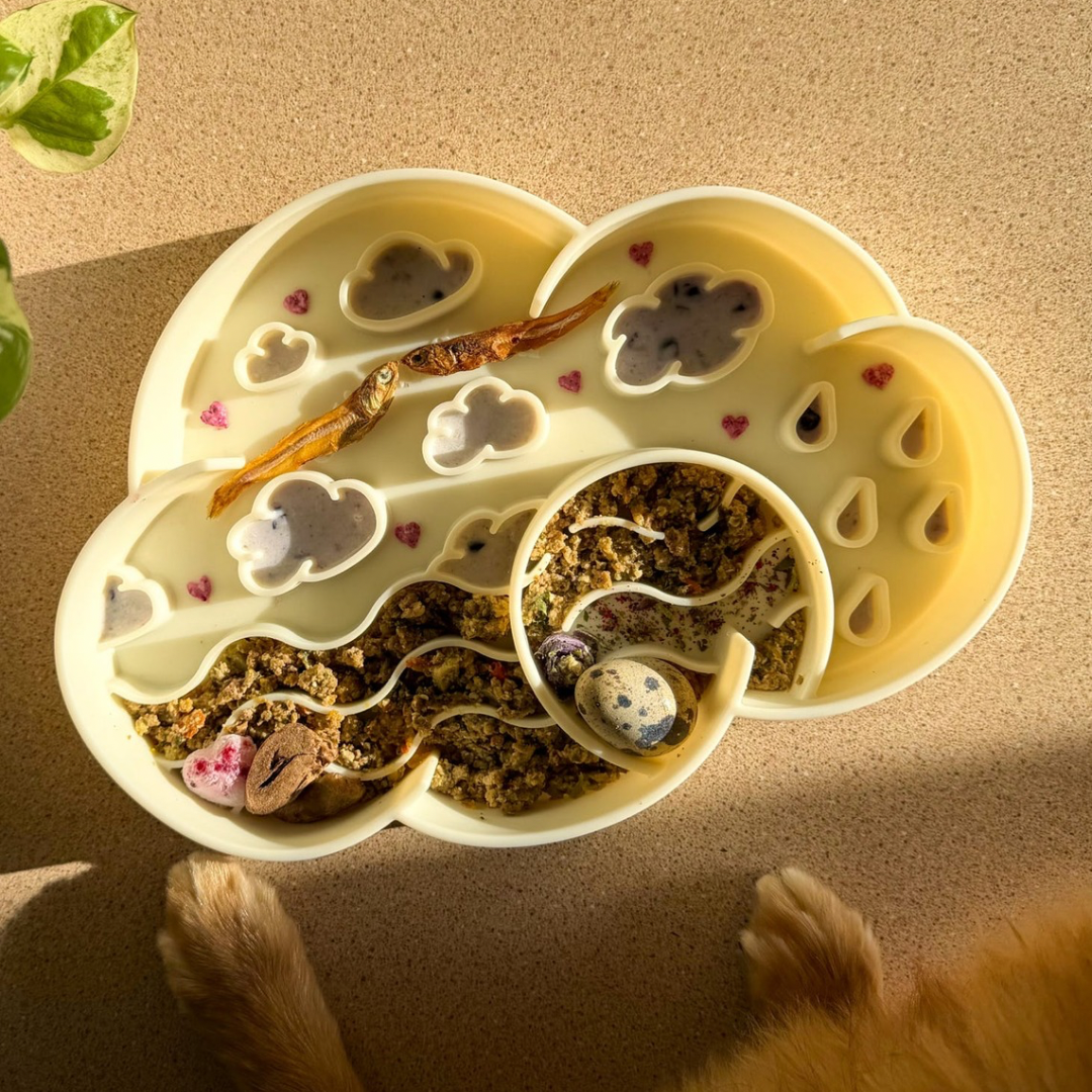 cloud slow feeder bowl | coconut
