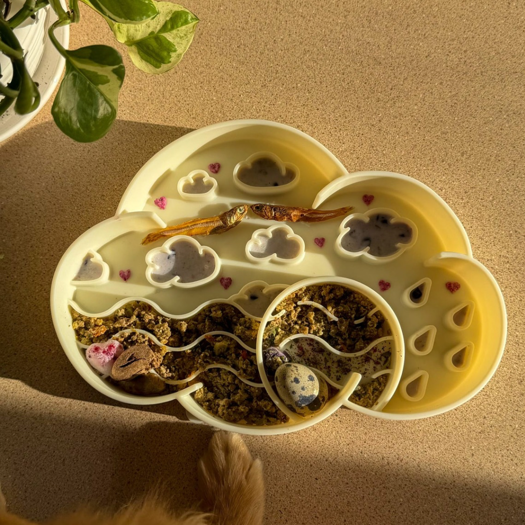 cloud slow feeder bowl | coconut