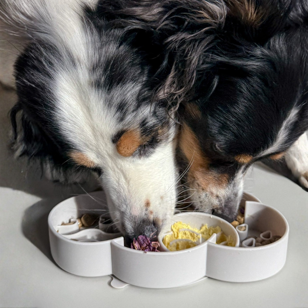 cloud slow feeder bowl | oyster