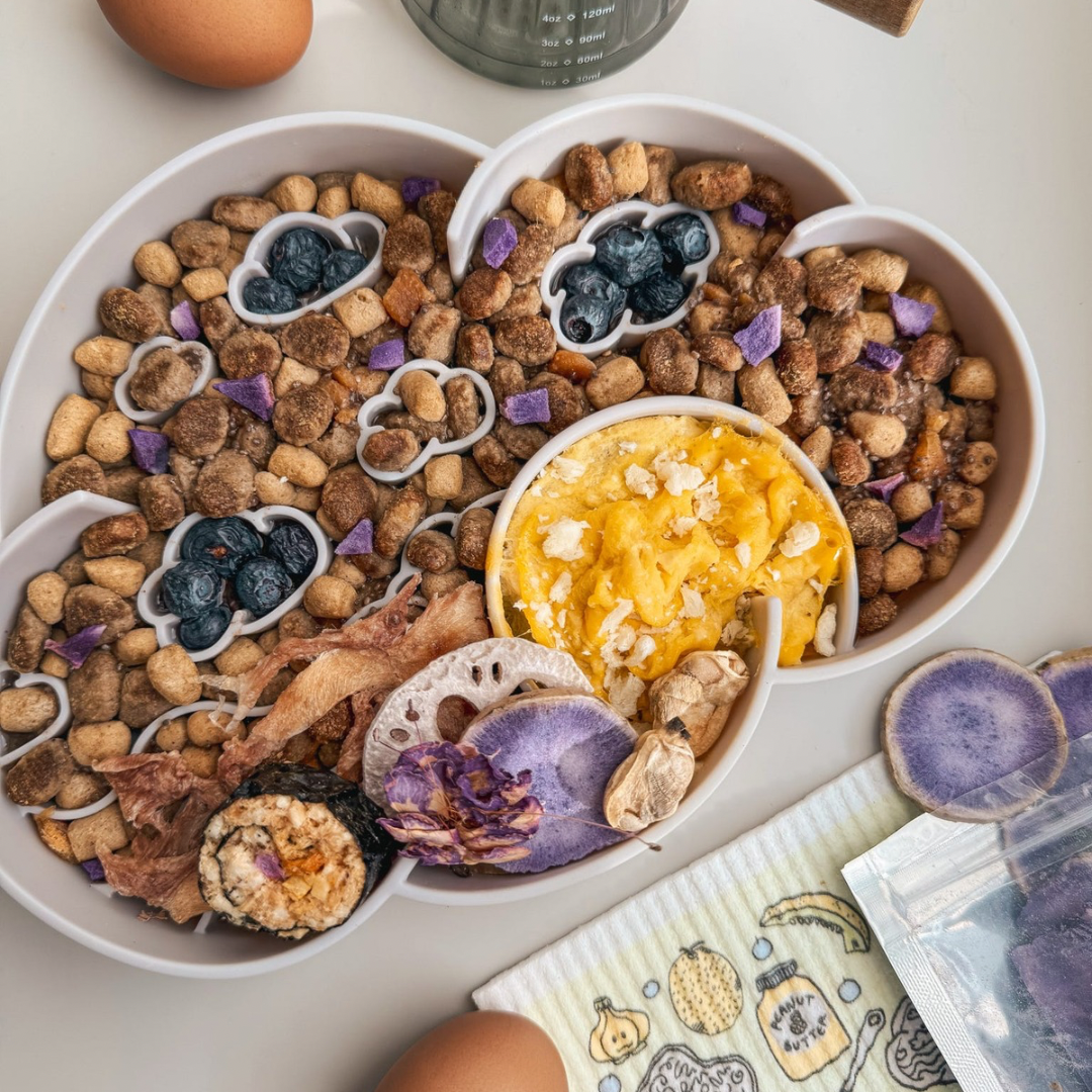 cloud slow feeder bowl | oyster