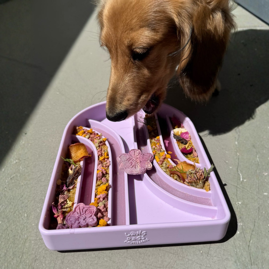 archer slow feeder - wisteria | longdogs pawtisserie