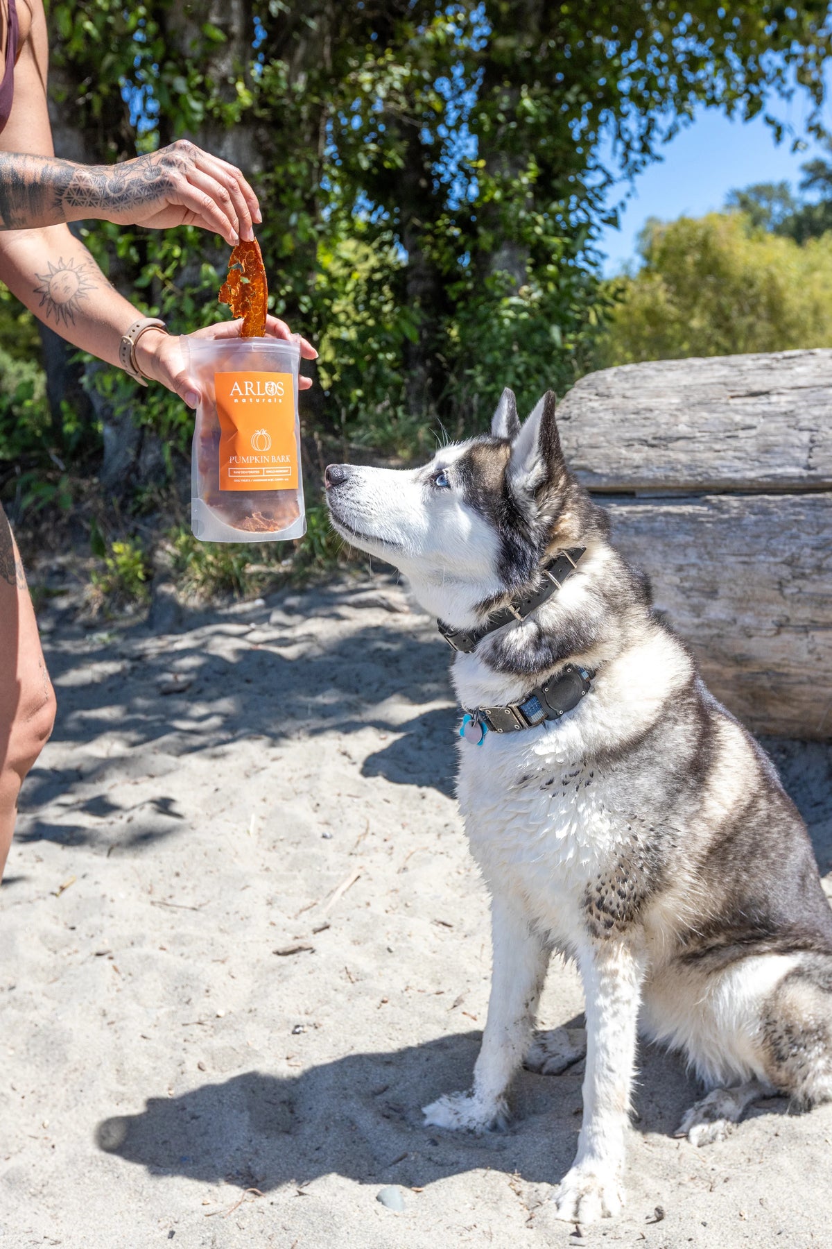 dehydrated pumpkin bark | arlos naturals