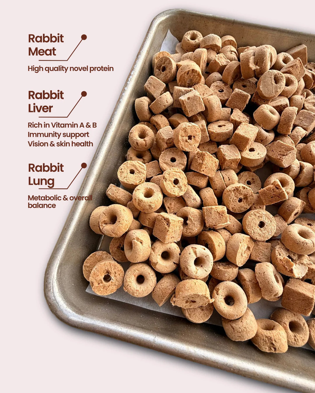rabbit trio blend | furrytales