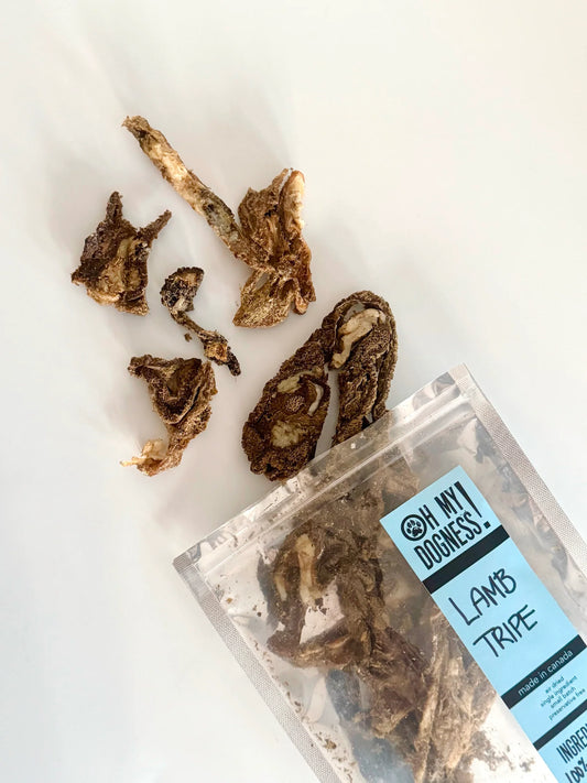 air dried lamb tripe | oh my dogness