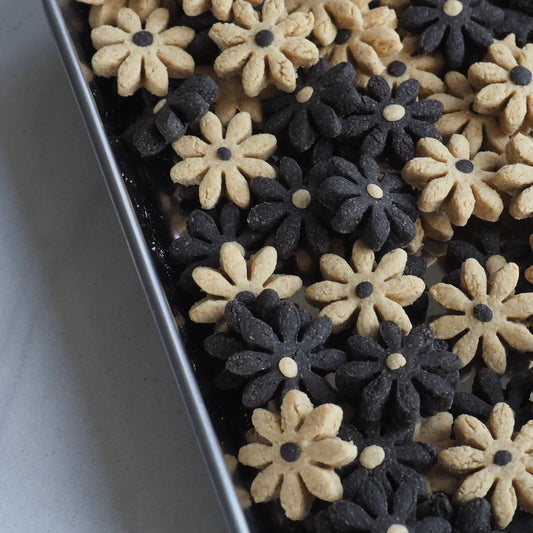 midnight daisies | community treats