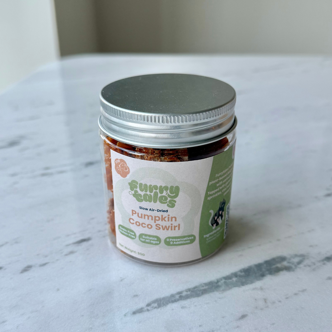 pumpkin coco swirl | furrytales